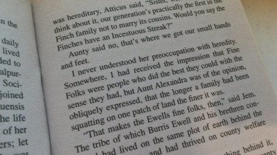 fine folk book definition