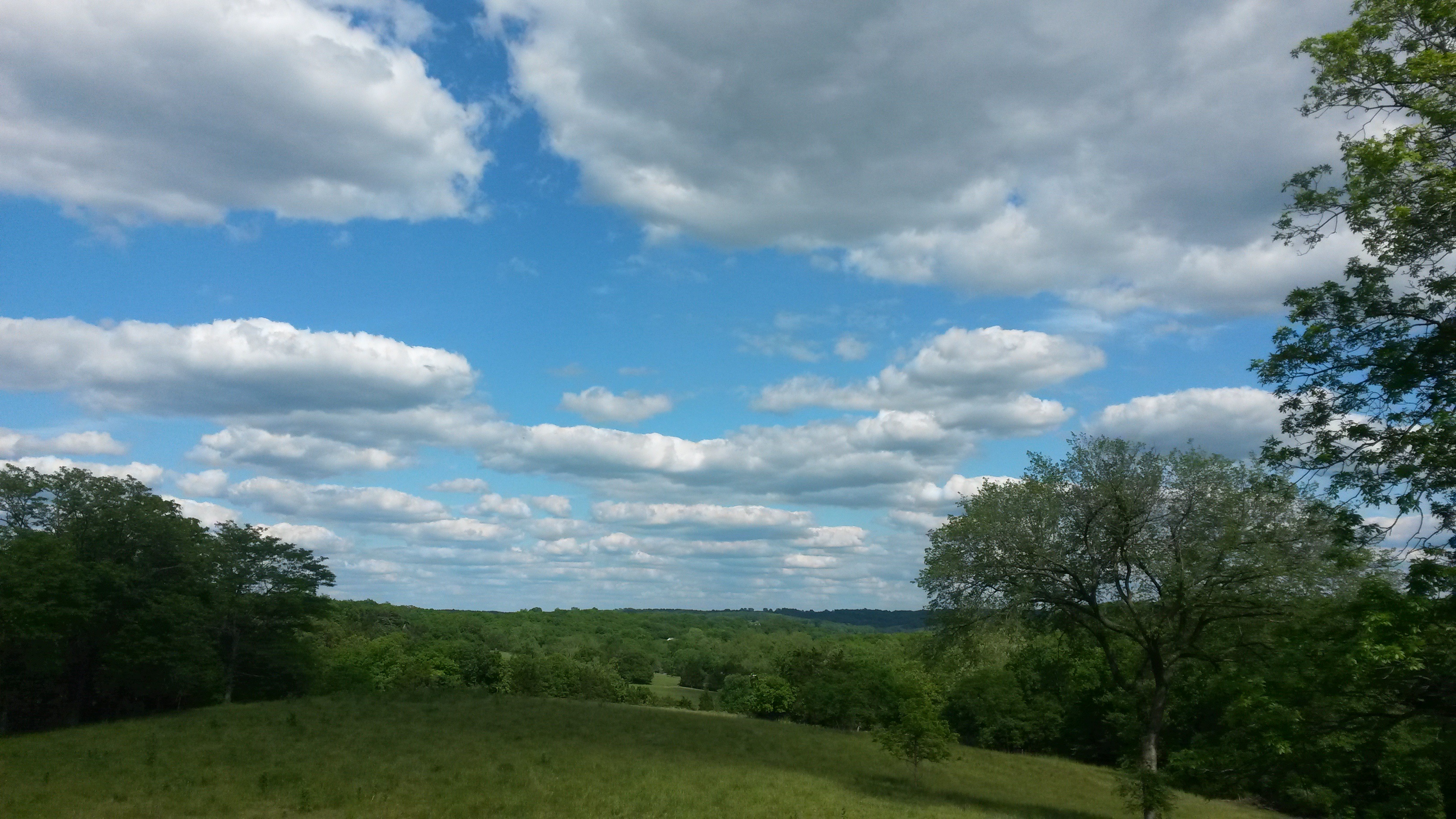 White Puffy Clouds.jpg