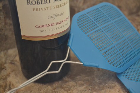 Cabarnet and catching flies.jpg