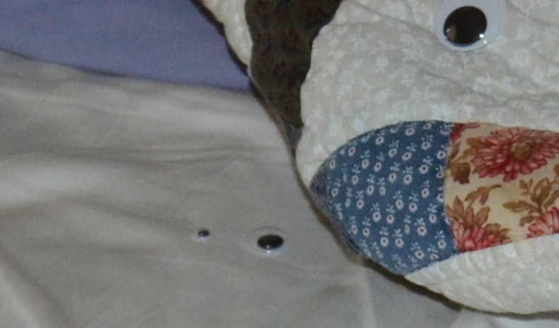 eyeball bed 1.jpg