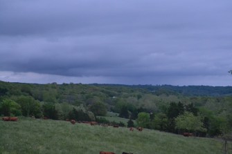 Bring on the rain (1).JPG