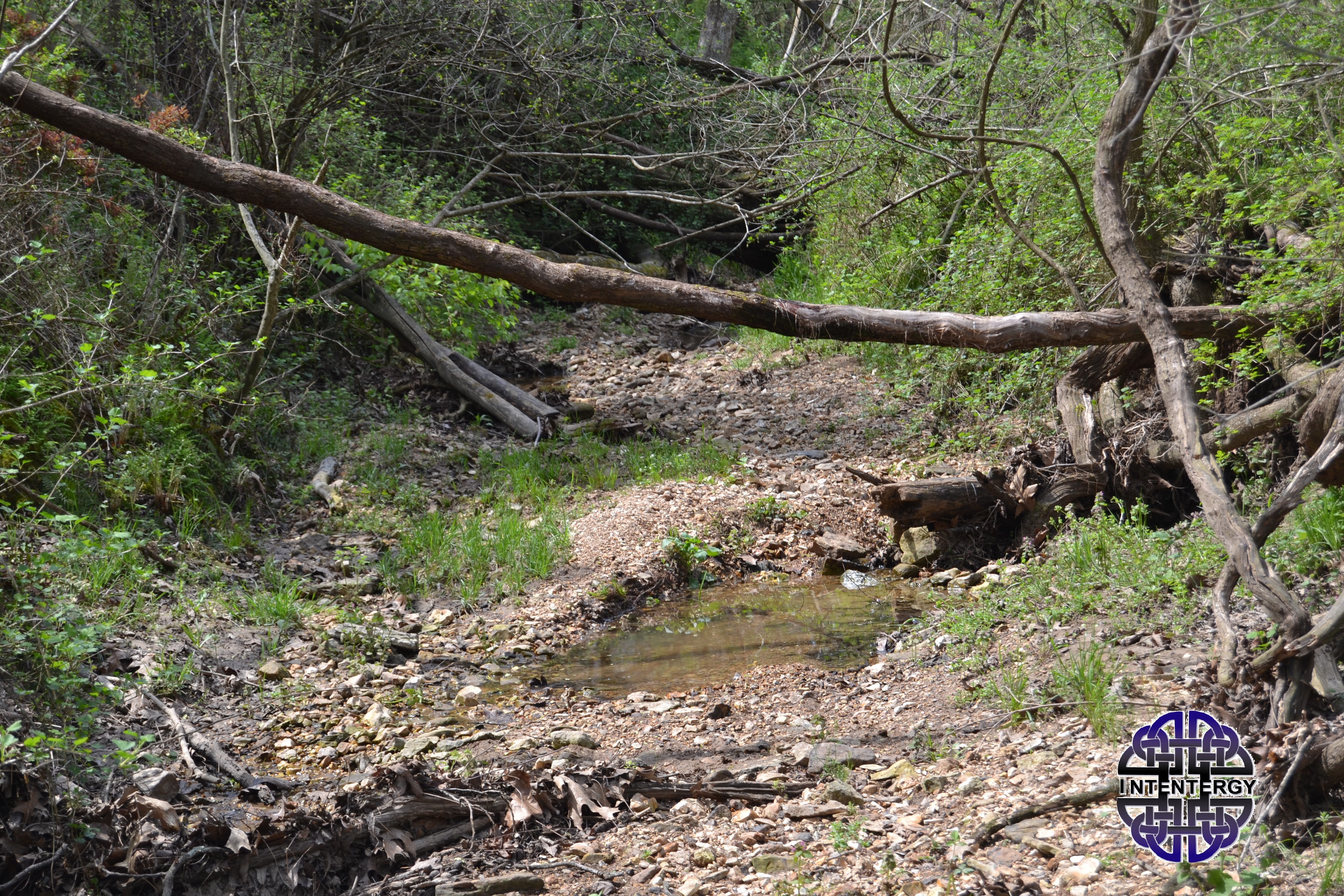 Blind Adventures.jpg