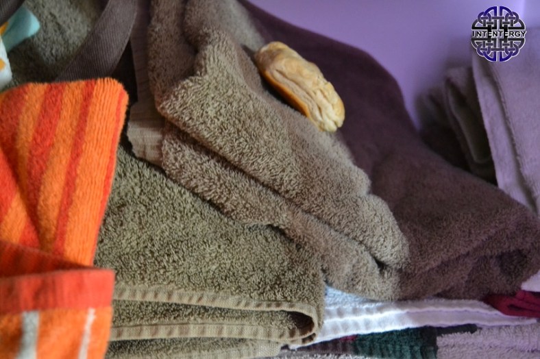 Biscuit in the Bathtowels (1)