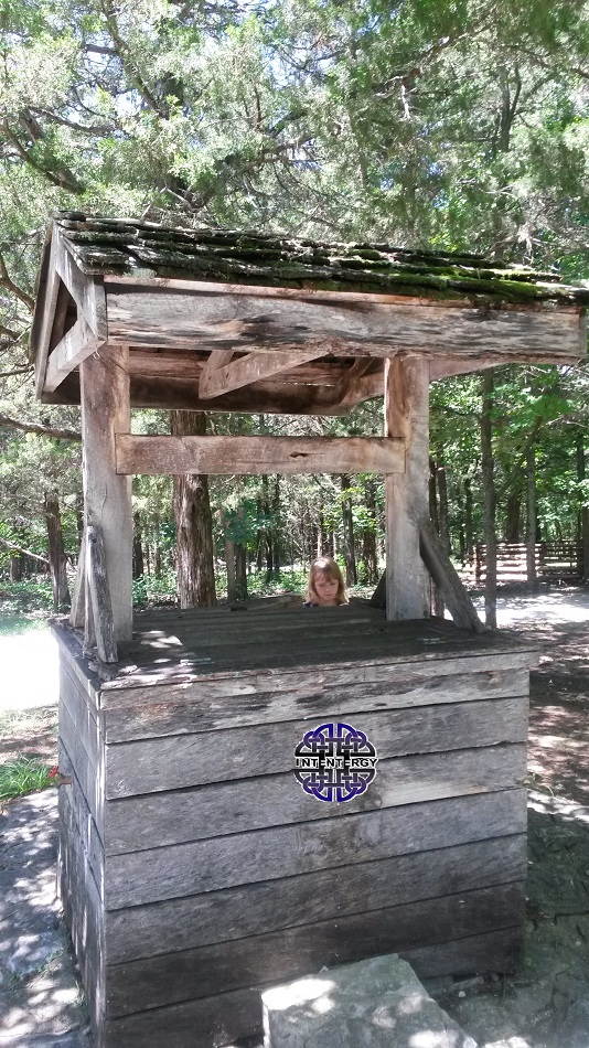 Out of Order Wishing Well