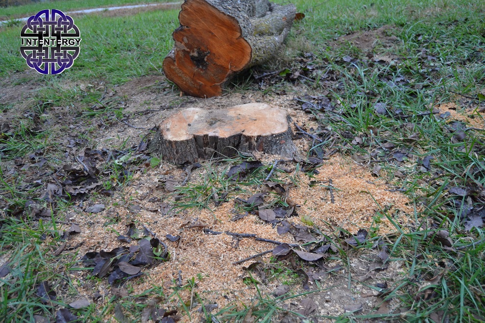 Sometimes the Answer is No